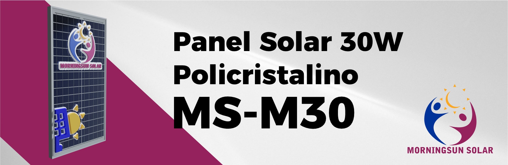 Panel Solar 30 Watts Policristalino MS Solar